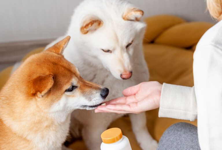 Do Dogs Need Vitamin C? The answer may surprise you