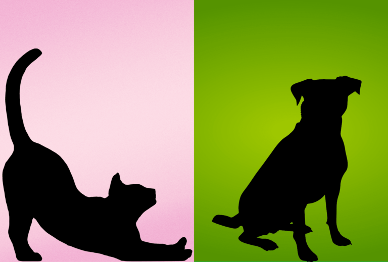 Is your pet a Glinda or an Elphaba?