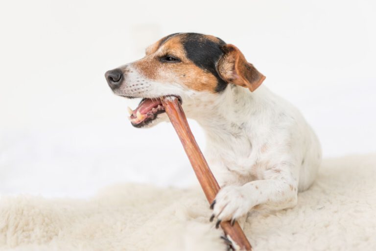 Dog treats with green casings are removed from the market due to possible metal contamination