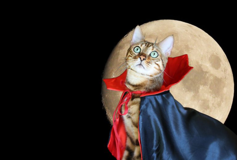 13 Halloween movie characters reimagined as cats and dogs