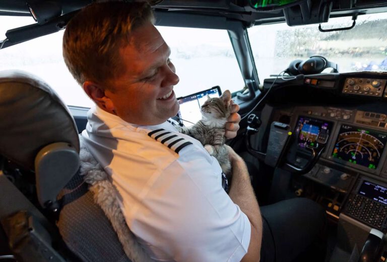 145 shelter animals rescued by pilot during hurricane chaos